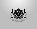 V Letter Logo. Inital V Majestic Shield design