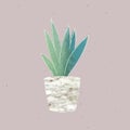 Watercolor succulent potted plant illustrated