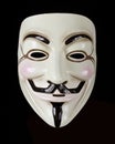 V for Vendetta or Guy Fawkes mask