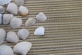 Vacaciones, seashells lie on the beach cover Royalty Free Stock Photo