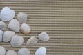 Vacaciones, seashells lie on the beach cover Royalty Free Stock Photo