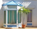 Vacant Storefront with palm tree