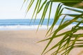 Vacation background. Beach with palm trees and blue sea Royalty Free Stock Photo