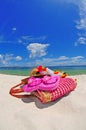 Vacation on the Beach Royalty Free Stock Photo