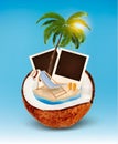 Vacation concept. Palm tree, photos and beach chair