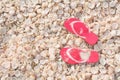 Vacation concept, seashells tropical beach background with flips flops Royalty Free Stock Photo