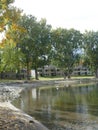 Vacation condominiums on Wapato Point