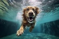 vacation dog snorkeling pool puppy water underwater swimming funny fun. Generative AI. Royalty Free Stock Photo