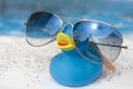 Vacation duck