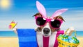 Vacation easter dog Royalty Free Stock Photo