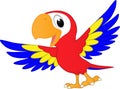 Cartoon parrot dancing dancing happily for the holidays