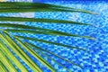 blurred abstract summer background, sunny day in tropical climate, palm leaf on background of blue water pool. Royalty Free Stock Photo