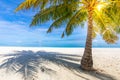 Vacation island. Sandy beach with palm and turquoise sea. Summer vacation and tropical beach concept. Royalty Free Stock Photo