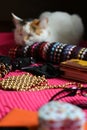 Vacation objects and sleppy cat Royalty Free Stock Photo