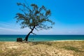 Beautiful tropical beach, soft wave hitting sandy beach under bright sunny day Royalty Free Stock Photo