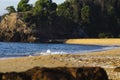 Soft wave hitting sandy beach under bright sunny day Royalty Free Stock Photo