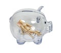 Vacation Savings in a piggy bank