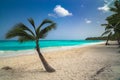 Sunny tropical exotic Caribbean paradise beach with white sand, azure water and palm tree branches over blue sky. Royalty Free Stock Photo