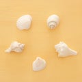 vacation and summer image with seashells over yellow wooden background. Royalty Free Stock Photo