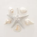 vacation and summer image with starfish and seashells over white wooden background. Royalty Free Stock Photo