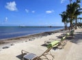 Vacation time in the Florida Keys Royalty Free Stock Photo