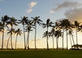 Vacationers enjoy the sunset under the palm trees