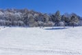 Vacationers tourists with children ride on an inflatable sled on a snowy slope on a winter