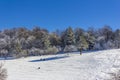 Vacationers tourists with children ride on an inflatable sled on a snowy slope on a winter