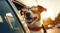 Vacationing Pooch Funny Jack Russell Terrier Dog with Shades and Leash Embarks on Summer Road Trip - Generative AI Royalty Free Stock Photo