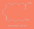 Vaccenic acid molecule. Trans fatty acid, present in animal fat and milk. Skeletal formula. Royalty Free Stock Photo