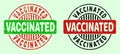 VACCINATED Round Bicolour Stamps - Grunged Texture