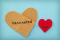 Vaccinated text on a heart shaped bandage with red smiling heart Royalty Free Stock Photo