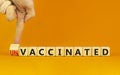 Vaccinated or unvaccinated symbol. Doctor turns a wooden cube and changes words `unvaccinated` to `vaccinated`. Beautiful oran