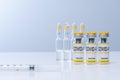 Vaccine in glass vial with syringe on a table. Vaccination and Medical concept Royalty Free Stock Photo