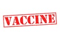 VACCINE Royalty Free Stock Photo