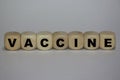 Vaccine Title - Wooden Cubes Concept - White Background