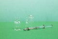 Vaccine vials and syringe on a green background with copy space.