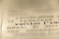 Vaccine word dictionary Royalty Free Stock Photo