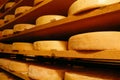 Vacherin Fribourgeois cheese Royalty Free Stock Photo