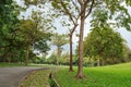 Vachirabenjatas park (rot fai park) bangkok thailand Royalty Free Stock Photo