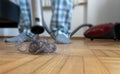 Vacuum cleaning dust close up. Person standing in socks and vacuuming a ball of dusty hair