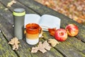 Vacuum flask with hot tea, mug, apples and book Royalty Free Stock Photo