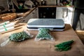 Vacuum packing machine and green fresh dill Royalty Free Stock Photo