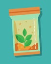 A vacuumsealed bag of dehydrated snacks made from plantbased materials and featuring a window made from compostable film Royalty Free Stock Photo