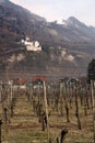 Vaduz castle and vineyard
