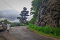 Morning walk through beautiful Vagamon hills road