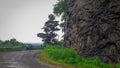 Morning walk through beautiful Vagamon hills road