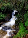 Vagamon, Kerala