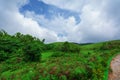 Beautiful morning view of Vagamon Meadows and sky