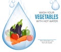 Washing Vegetable for Safety vector design
